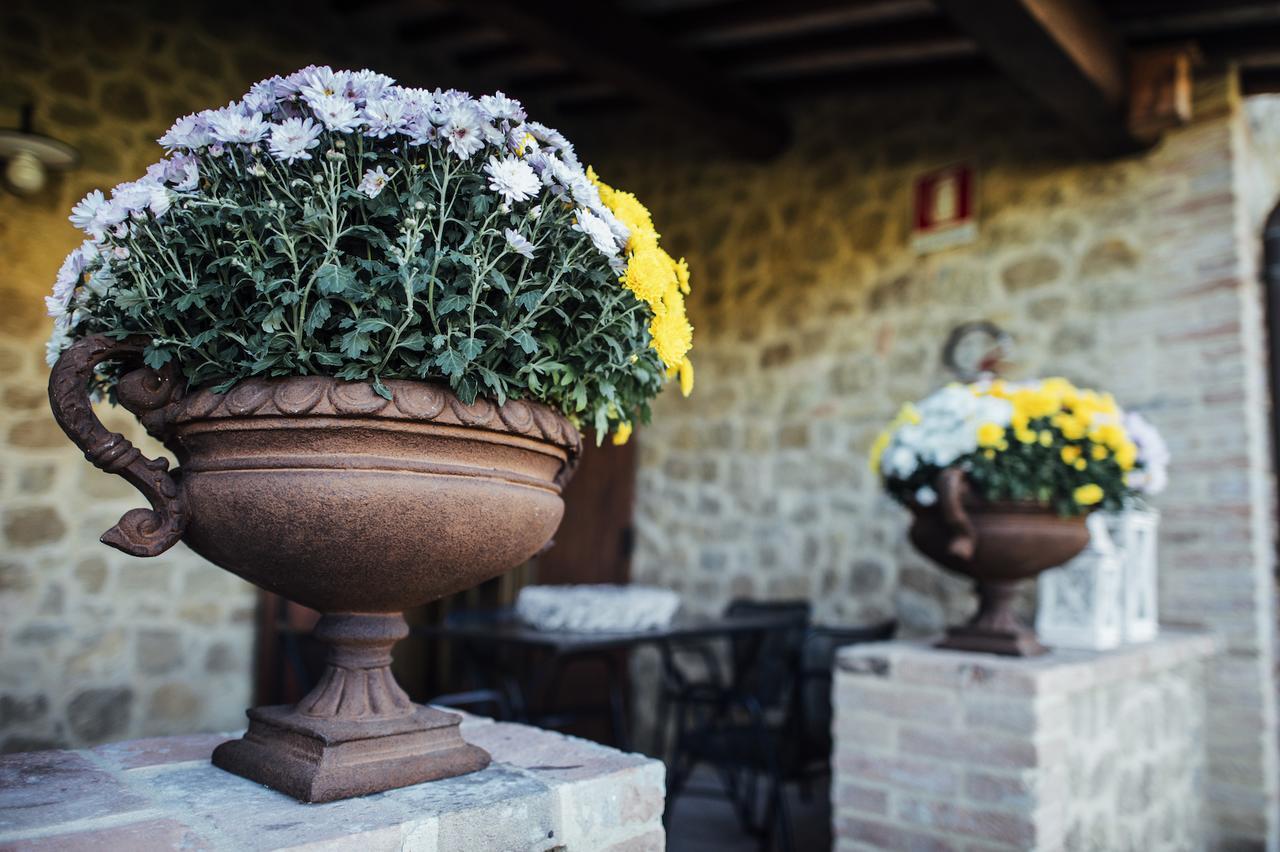 Borgo Del Faggio Διαμέρισμα Montepulciano Stazione Εξωτερικό φωτογραφία